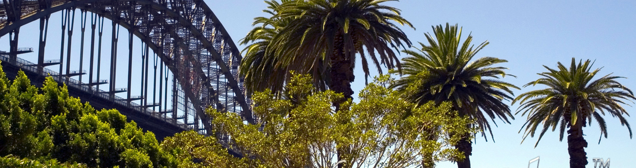 DDOS在线压力测试